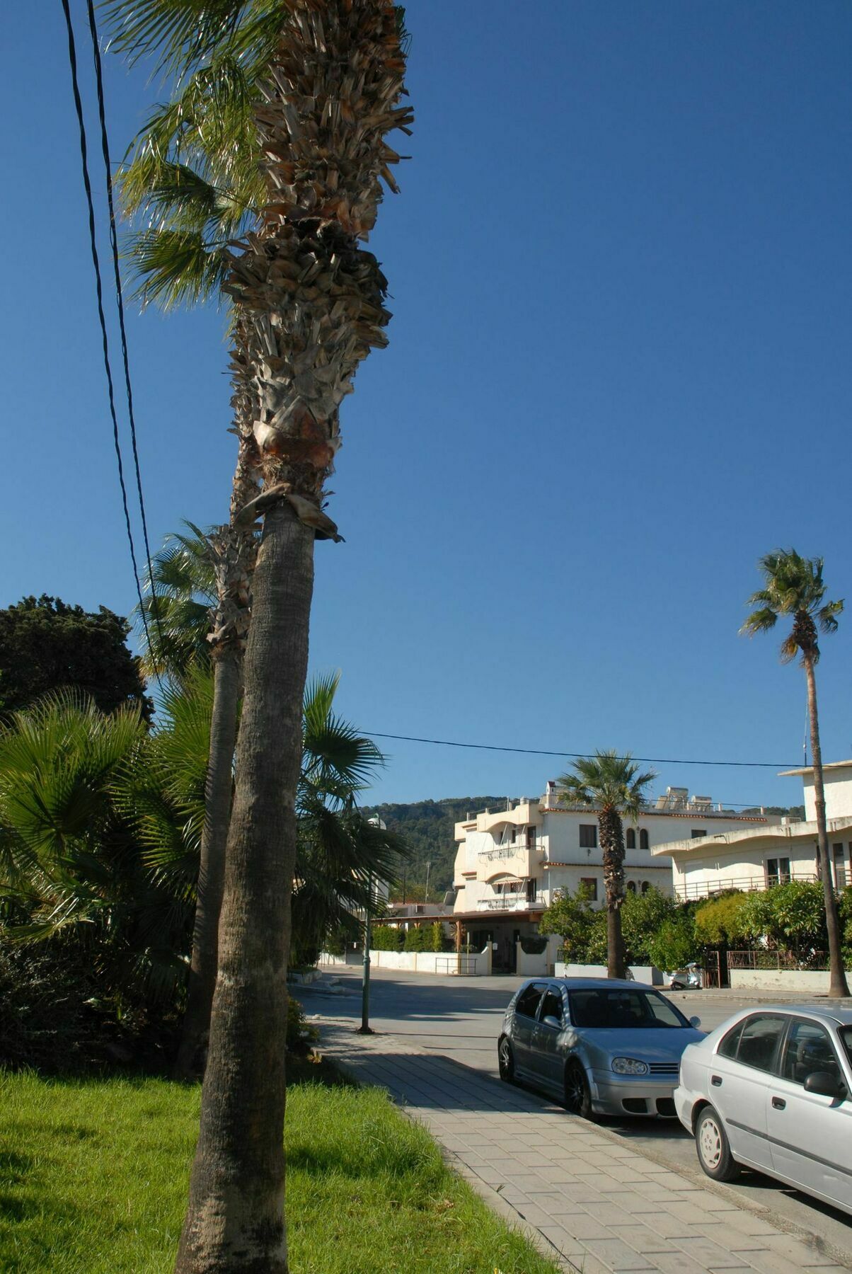 Takis Hotel Apartments Ialysos (Rhodes) Exterior foto